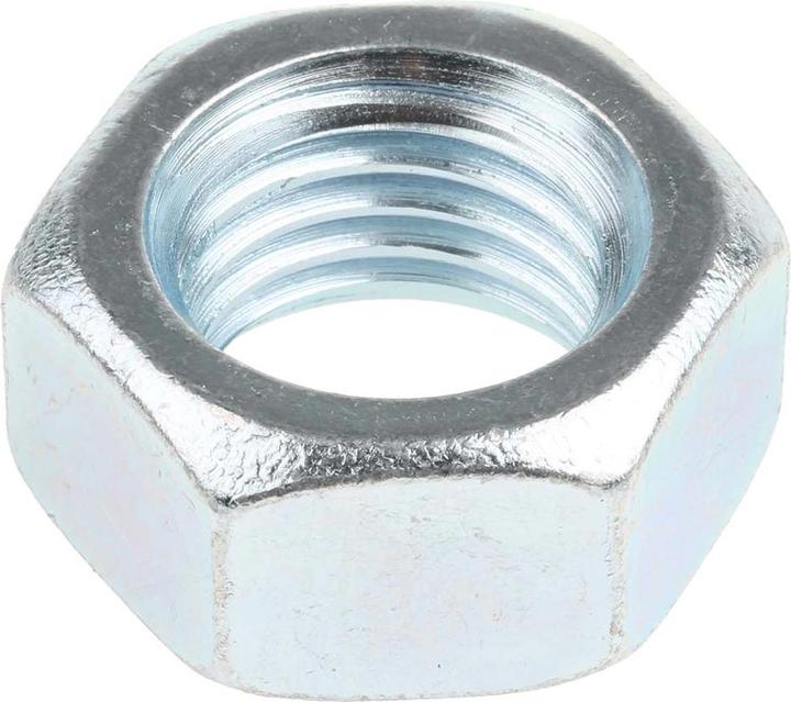 Actual product image RS PRO ISO nuts galvanized M20 (M20)