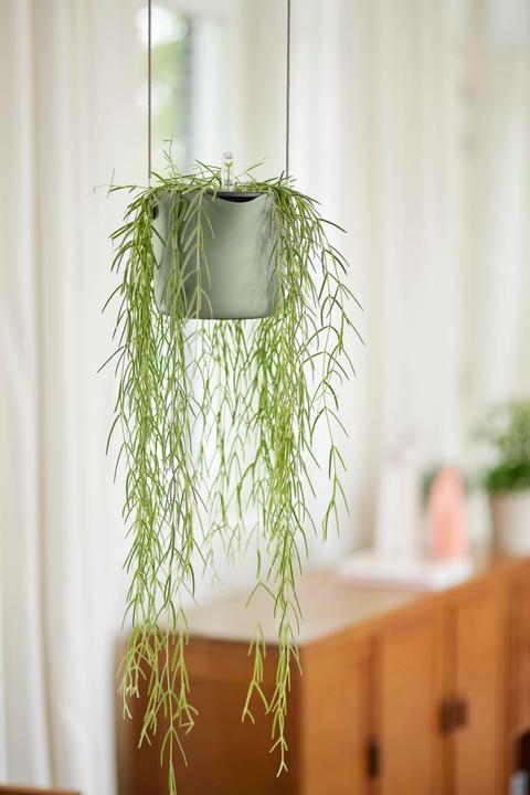 Produktbild Elho B.for Swing (18 x 16.50 cm)