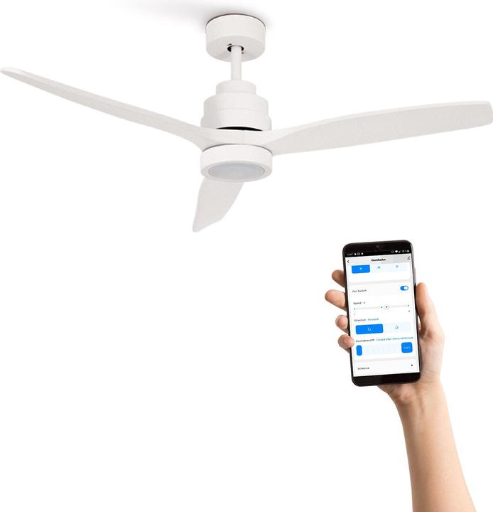 Actual product image Create WINDSTYLANCE DC - Quiet ceiling fan (50 dB)