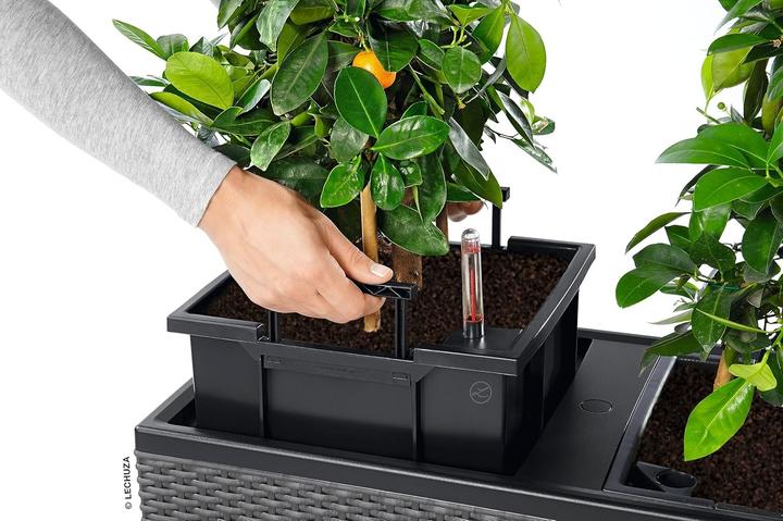 Produktbild Lechuza Trio Cottage (32 cm)