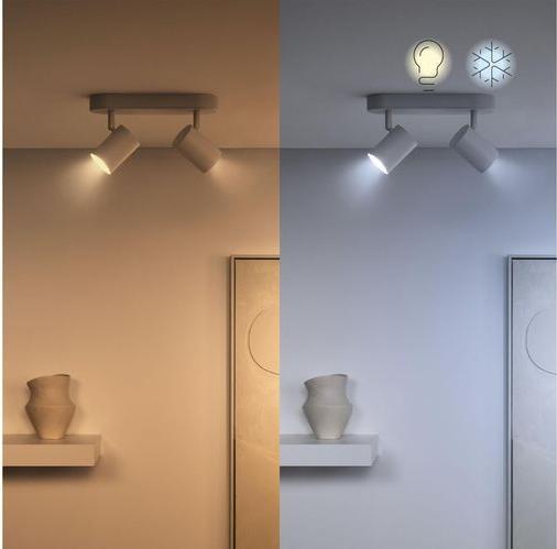 Image du produit WiZ Sources lumineuses (GU10, 4.70 W, 345 lm, 1 x, F)