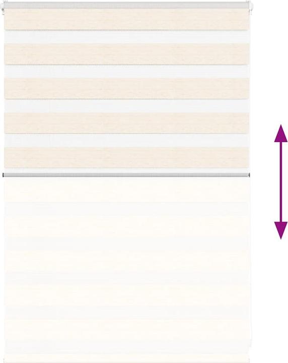 Produktbild vidaXL Zebra-Jalousie (110 x 100 cm)