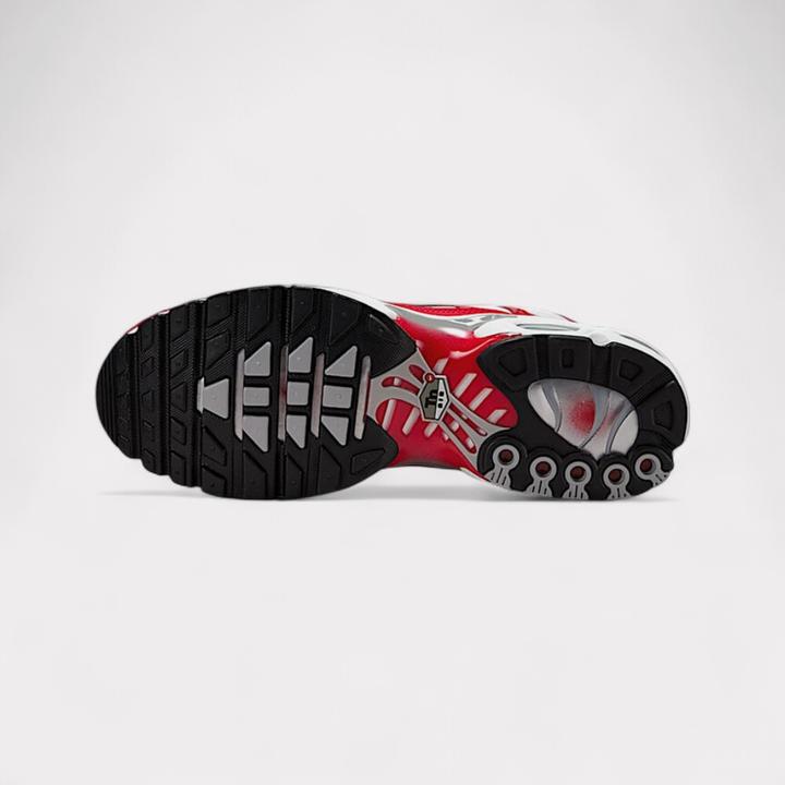 Produktbild Nike Air Max Plus (41)