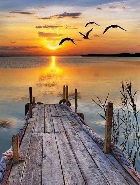 Figured'Art Diamond Painting Dock auf dem See ohne Keilrahmen