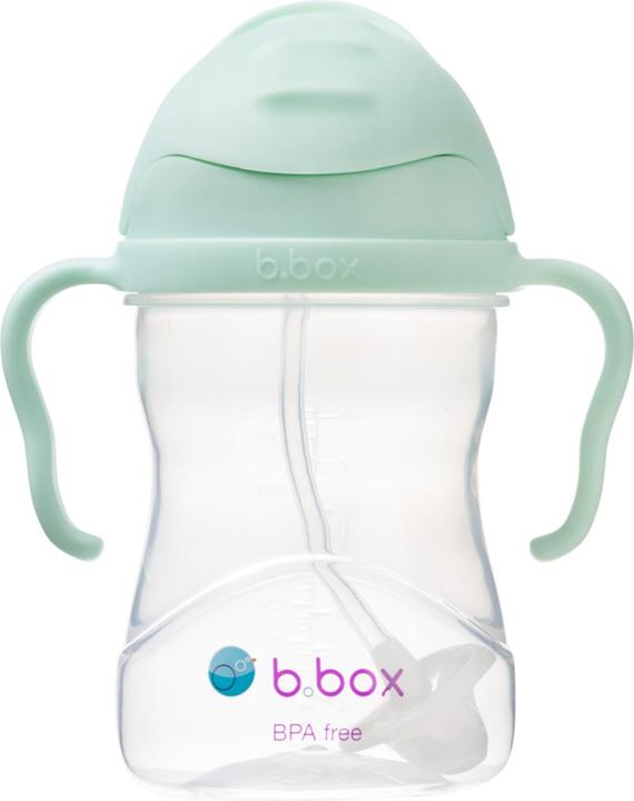 B.Box Innovative bottle with the Pistachio straw 6m +