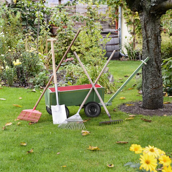 Actual product image Relaxdays Wheelbarrow Tyre, 4.