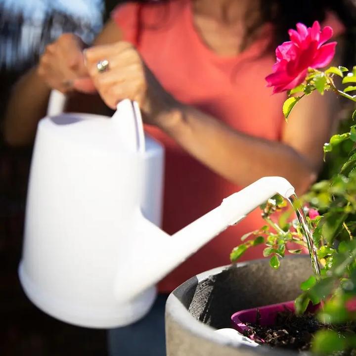 Produktbild Stöckli Gartenbau Ausguss