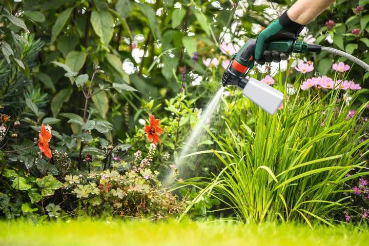 Produktbild Bosch Home & Garden Strauchmesser 200 mm für AdvancedShear 18V-10 (Heckenschere)