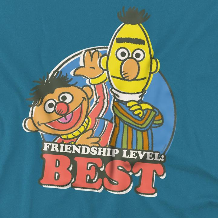 Image du produit - T-shirt motif Bert et Ernie FRIENDSHIP LEVEL: BEST - Adulte (3XL)