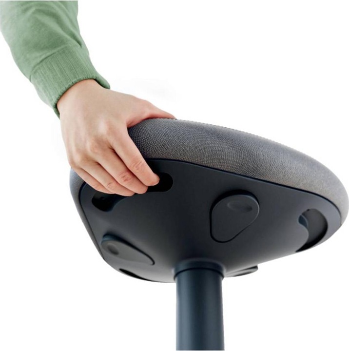 Image du produit Leitz Ergo Active