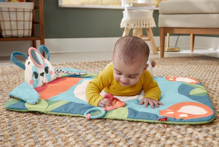 Actual product image Fisher-Price 0