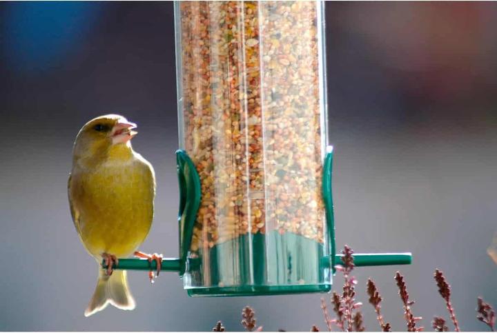 Image du produit Dobar Futtersäule dobar aus Kunststoff 7x23 cm grün