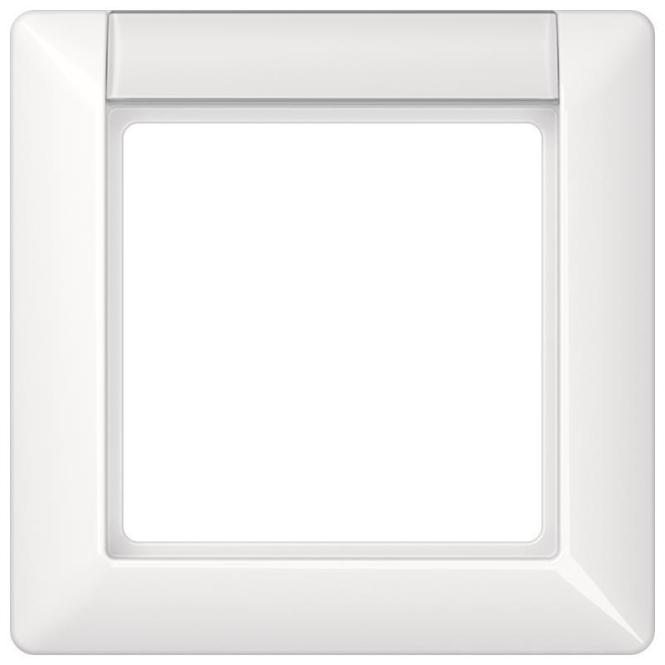 Actual product image JUNG Frame