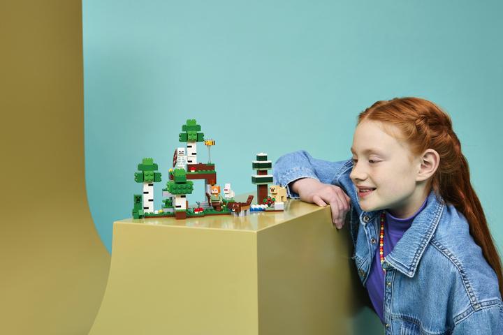 Produktbild LEGO Erstes Abenteuer in der Nacht (21593, LEGO Minecraft)