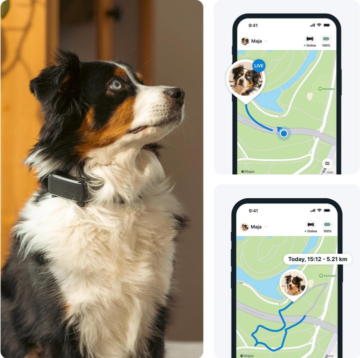 Immagine prodotto Tractive GPS Tracker Dog 6 (Cane, Passeggiare)
