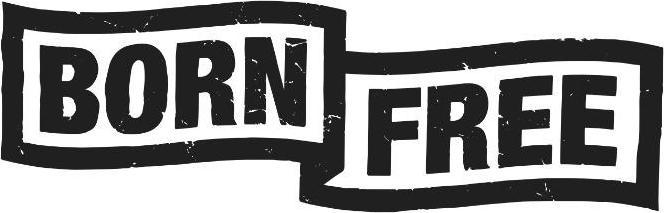 Image du produit British Knights Roco (32)