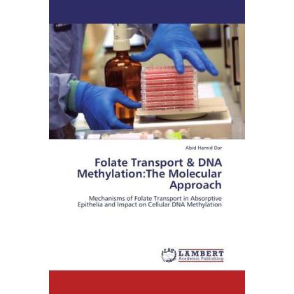 Folate Transport & DNA Methylation:The Molecular Approach, Fachbücher von Abid Hamid Dar