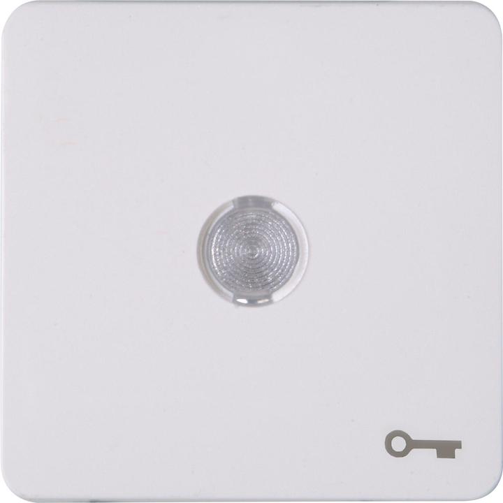 Actual product image Kopp HK02 surface rocker with lens 330113003 and "key" symbol arctic white
