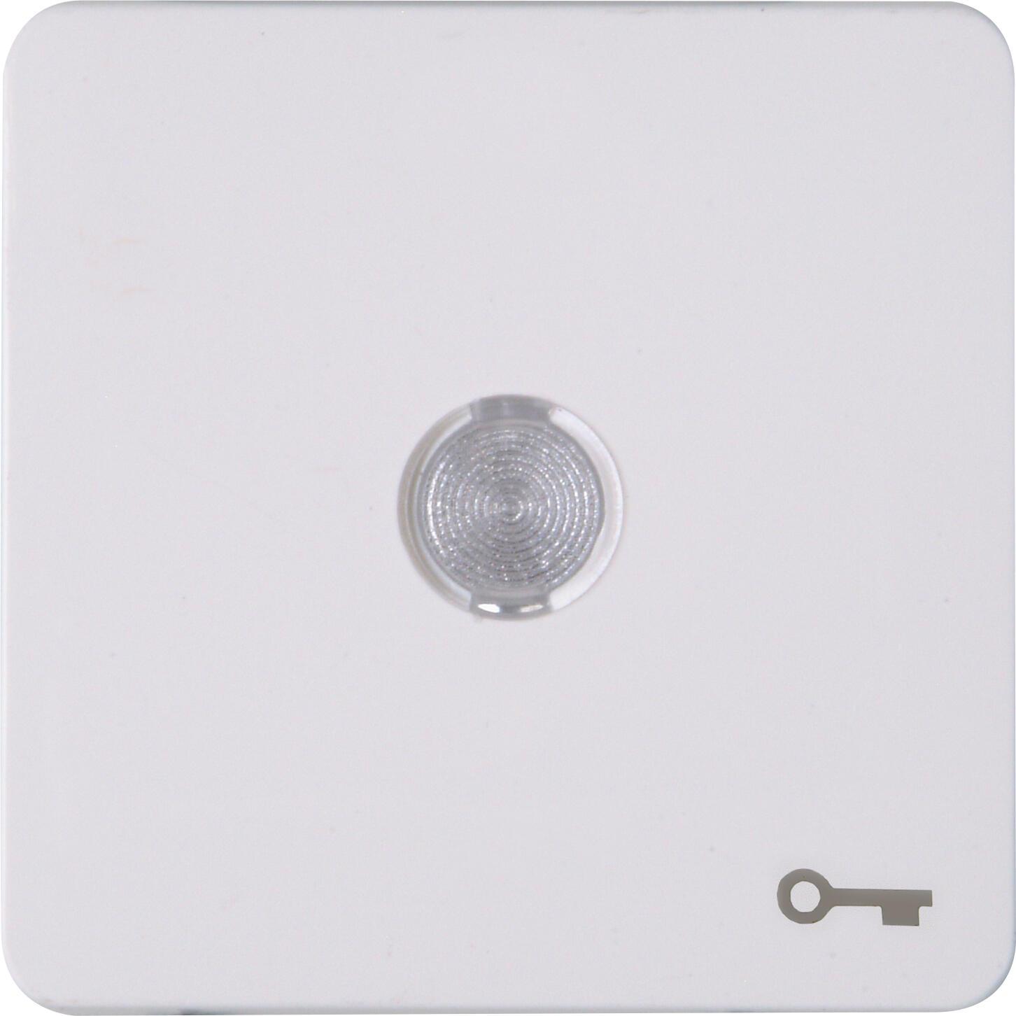 Kopp HK02-Flächenwippe m.Linse 330113003 u.Symbol "Schlüssel" arktisweiss, Taster + Schalter, Weiss