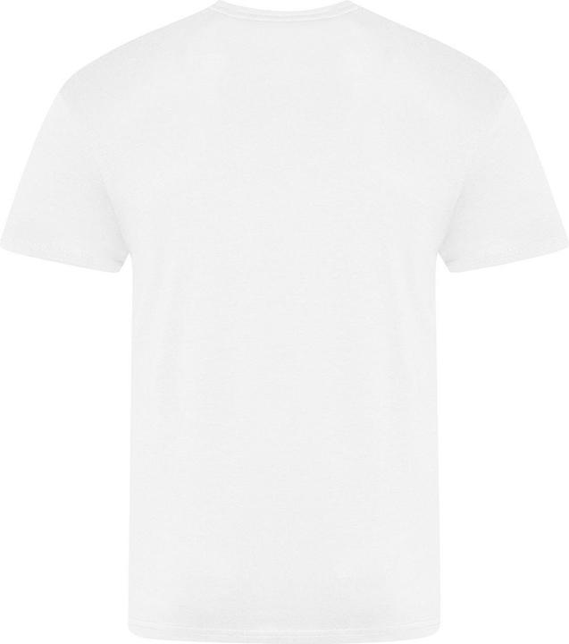 Image du produit Awdis The 100 Tshirt (6XL)
