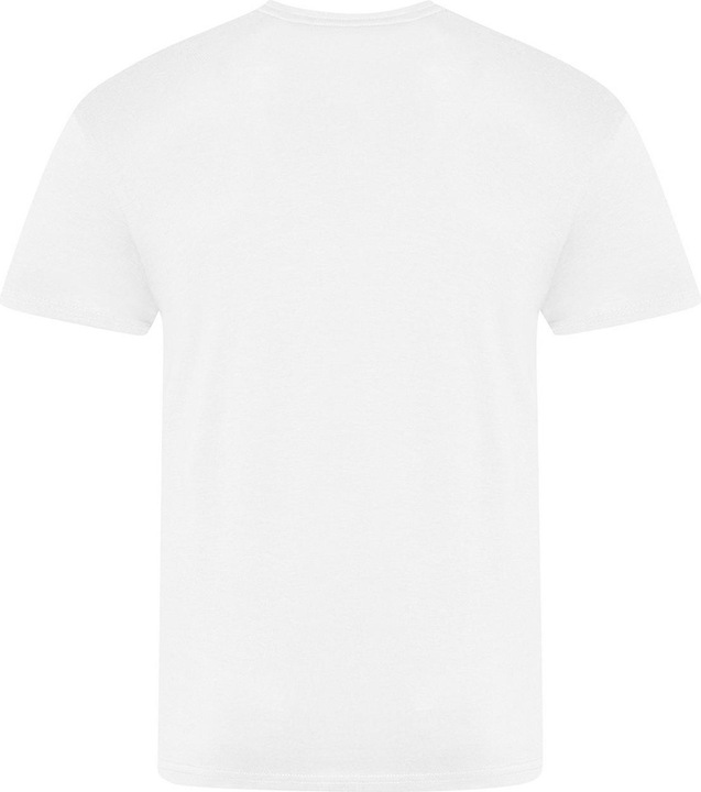 Actual product image Awdis The 100 Tshirt (6XL)