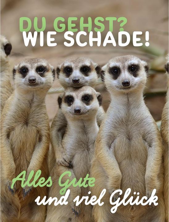 Taurus Kunstkarten Abschiedskarte Erdmännchen - Maxi Card A4 (1 Stk.)