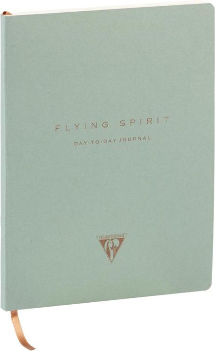 Actual product image Clairefontaine F.S. Vert, Day to da y 19x25 192 shts ass (19 x 25 cm, Dotted, Soft cover)