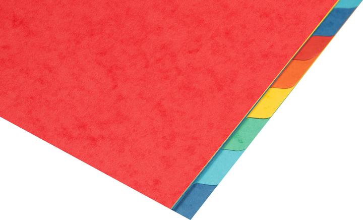 Actual product image Biella top color