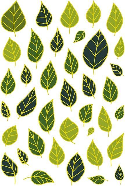 My Mandarine Decoraty, Sach 20 pl 14,8x21cm, Feuilles - Multicolore