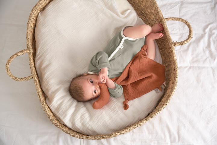 Produktbild Lässig 2er Set Langarm Body (86, 92)