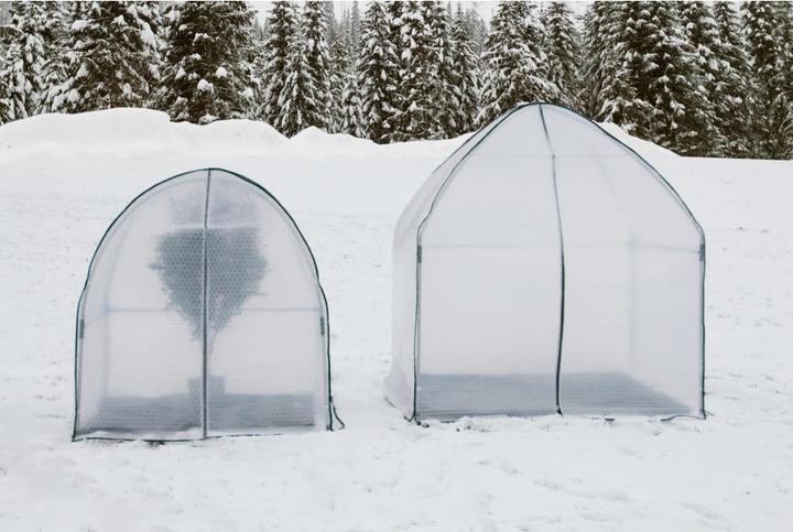 Immagine prodotto Colibri Yurta