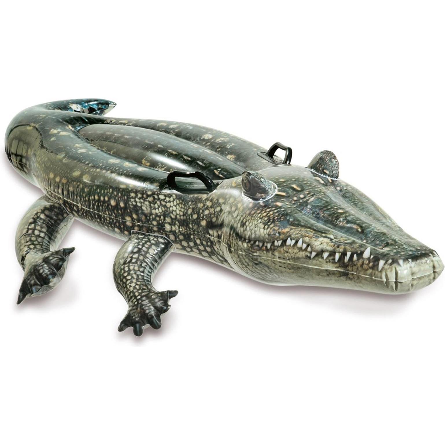 Intex Realistic Gator