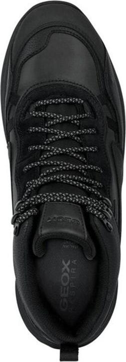 Image du produit Geox Terrestre (43)