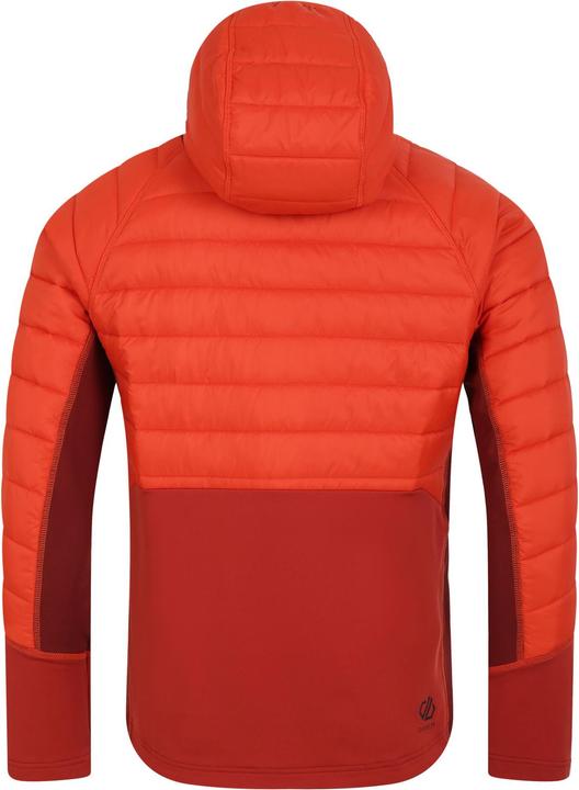 Actual product image Dare2b Mens Descending Hybrid Jacket (M)