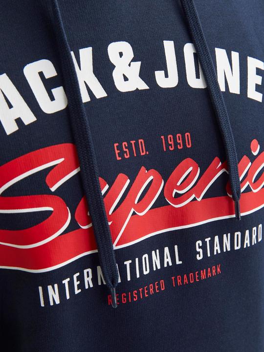 Actual product image Jack & Jones JJELOGO SWEAT HOOD 2 COL 24/25 NOOS PLS (4XL)