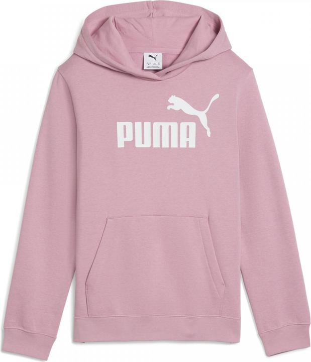 Image du produit Puma Sweat à capuche ESS No. 1 Logo FL G (128)