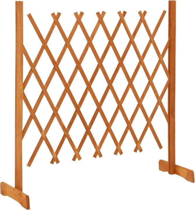 Image du produit vidaXL Rasia