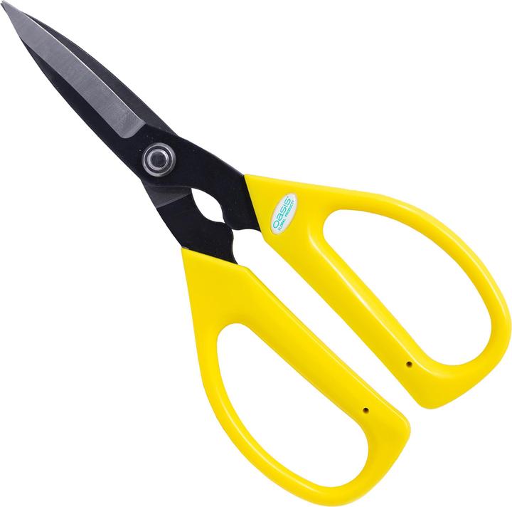 Actual product image Oasis Carbon shears (5.60 cm)