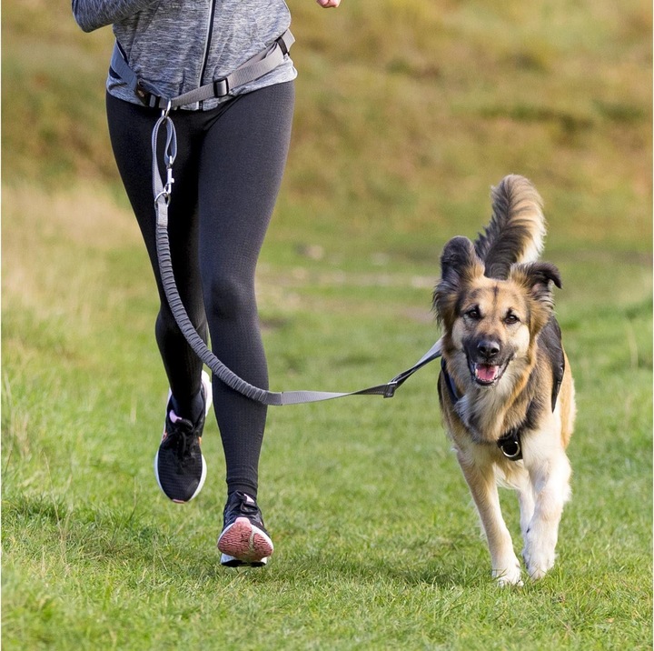 Immagine prodotto Trixie cinturino in vita con guinzaglio, nylon (M, Cane, Jogging)
