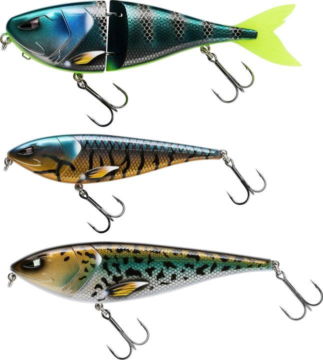 Actual product image Berkley Zilla Gift Box