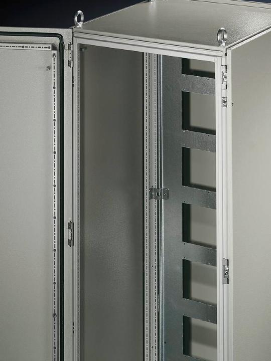 Actual product image Rittal Hinge for rack (pack of 2)