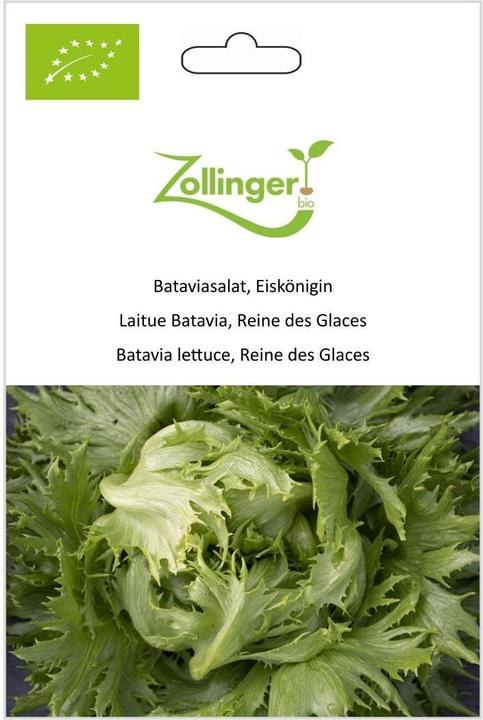 Immagine prodotto Zollinger Bio Insalata Batavia, Regina del Ghiaccio (Germogli)
