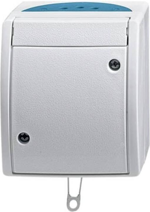 Actual product image Busch-Jaeger Pull switch