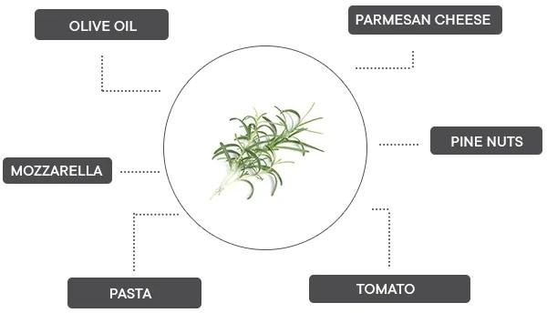 Produktbild Véritable Rosmarin (Kräutersamen)