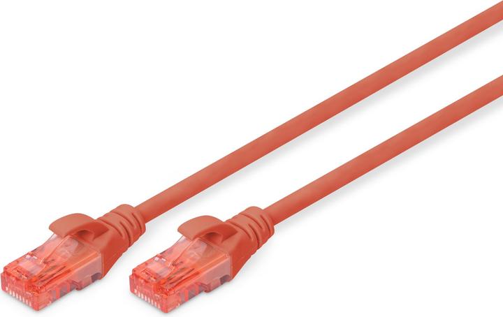 Actual product image Digitus Network cable (U/UTP, CAT6, 0.25 m)