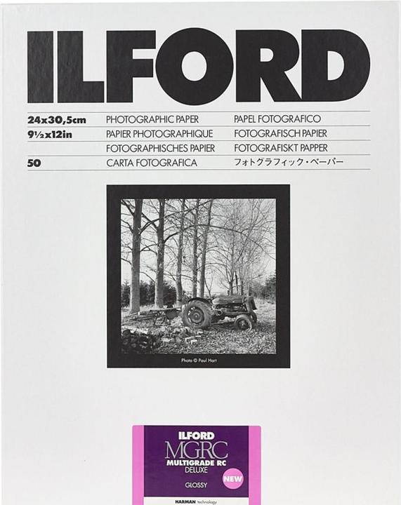 Actual product image Ilford 1x 50 MG RC DL 1M 30x40 (190 g/m², 30 x 40 cm, 50 pcs.)