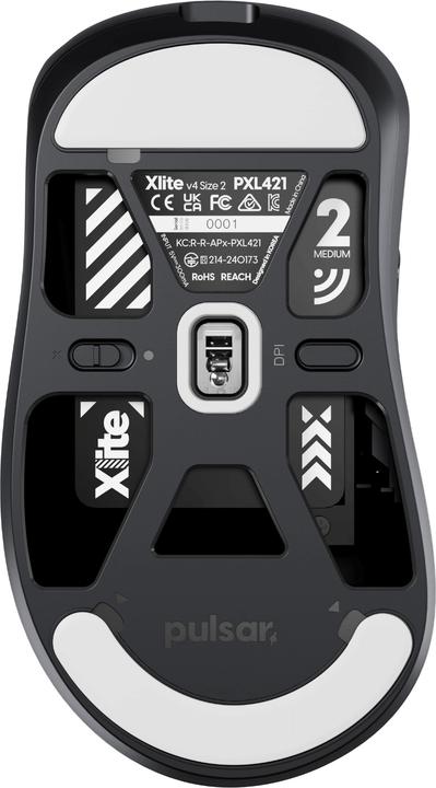Actual product image Pulsar Xlite V4 - Medium Size 2 (Wireless, Cable)