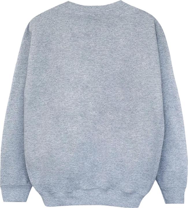 Image du produit - Sweat THOR CIRCLE - Garçon (152, 158)