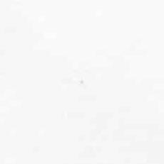 Actual product image vidaXL Waidgund (80 x 200 cm, Spring core)