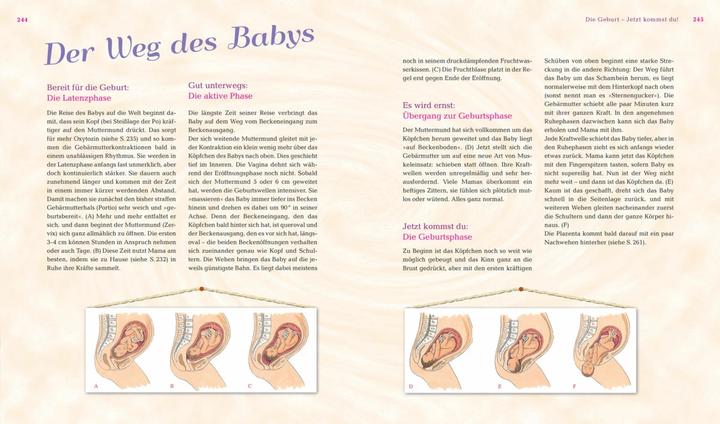 Produktbild Das grosse Mama-Handbuch (Deutsch, Vivian Weigert, 2018)